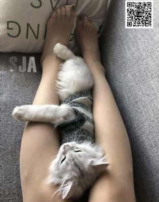 激情丛林