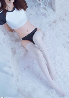 cupfox茶杯狐