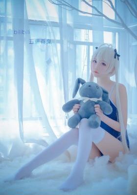 灰姑娘h版