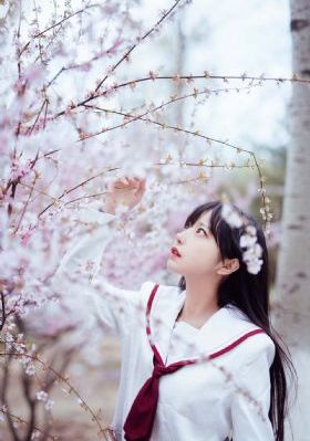 泰迪熊
